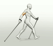 walk-trekking